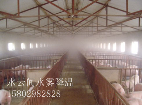 豬舍噴霧降溫水霧蒸發(fā)降溫系統的發(fā)展趨勢