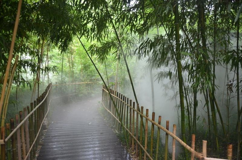 園林景觀(guān)噴霧